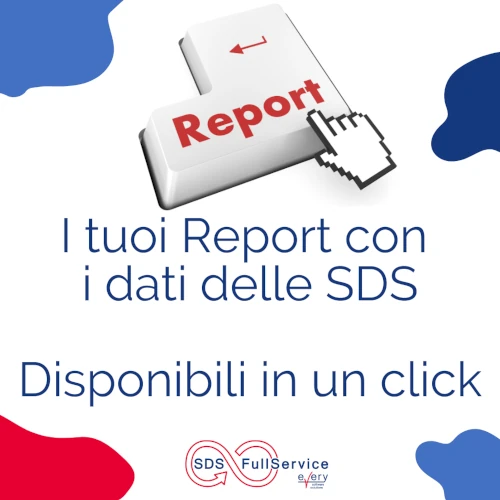 I tuoi report con le informazioni delle SDS, disponibili in un click - SDS FullService - Every SWS