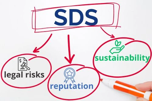 I rischi della cattiva gestione delle SDS in azienda - SDS FullService di Every SWS